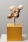 Escultura de bronce Mima de Eduard Van Giel, Imagen 3