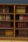 Libreria a giorno in quercia, fine XIX secolo, Immagine 7