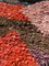 Vintage Traditional Boucherouite Berber Rug in Cotton, 1980s, Image 7