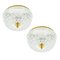 Mid-Century Bubble Glass Flush Mounts or Wall Lights by Helena Tynell for Limburg, Germany, 1960s, Set of 2, Image 1