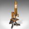 Antique English Scholars Microscope in Brass, 1890s, Image 2