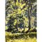 Allan Ardies, Beech Trees with Figures in a National Trust Forest in Northern Ireland, 1980, Painting, Framed, Image 6