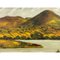 Patrick O'Neill, Camlough Lake in Northern Ireland, 1985, Oil Painting, Framed, Image 9
