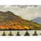 Patrick O'Neill, Camlough Lake in Northern Ireland, 1985, Oil Painting, Framed, Image 7