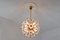 Mid-Century Brass Floral Ceiling Light in the style of Emil Stejnar, 1960s 3