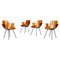 Medea Armchairs by Vittorio Nobili for Fratelli Tagliabue, Italy, 1955, Set of 4 1