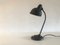 Lámpara de escritorio Bauhaus modelo 6551 de Christian Dell para Kaiser Idell, años 20, Imagen 11