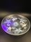 Large Art Deco Opalescent Bowl with Seastars by Verlys, 1930s 4