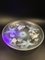 Large Art Deco Opalescent Bowl with Seastars by Verlys, 1930s, Image 4