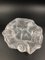 Art Deco Frosted Glass Bowl with Shells and Fossil, 1930s, Image 2