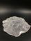 Cuenco Art Déco de vidrio esmerilado con conchas y fósil, años 30, Imagen 5
