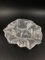 Cuenco Art Déco de vidrio esmerilado con conchas y fósil, años 30, Imagen 1