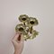 Italian Brass Flower Shape Candleholder, 1960s 9