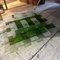 Green and White Murano Glass Square Wall Light from Mazzega 5