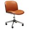 Terni Series Desk Chair by Ico Parisi for Mim Roma, 1958 1