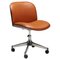 Terni Series Desk Chair by Ico Parisi for Mim Roma, 1958, Image 1