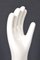 Handschuhform von Rosenthal 4