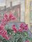 Cyclamen by the Window, Oil Painting, 1950s, Framed 10