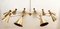 Sputnik 10-Light Chandelier in Brass with Adjustable Domes, Image 15