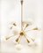 Sputnik 12-Light Chandelier in Brass and Glass 21