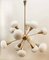 Sputnik 12-Light Chandelier in Brass and Glass 7