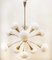 Sputnik 12-Light Chandelier in Brass and Glass 15