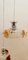 Lámpara de suspensión de cristal de Murano con rosas de colores, Imagen 11