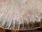 Lampada a sospensione in vetro di Murano trasparente e rosa, anni '70, Immagine 10