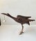 Pájaro grúa de madera con cráneo suspendido, años 40, Imagen 3