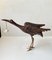 Wooden Crane Bird with Suspended Skull, 1940s, Image 3