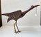 Uccello gru in legno con teschio sospeso, anni '40, Immagine 2