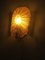 Lampade da parete a forma di conchiglia di Murano in vetro dorato con cornice in ottone, Italia, anni '70, set di 2, Immagine 11
