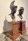 19th Century Bronze Busts on Mahogany Bases, Set of 2 3