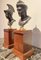 19th Century Bronze Busts on Mahogany Bases, Set of 2 4