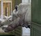 Mr Strange, El rinoceronte de Salvador, 2022, Pintura sobre lienzo sin estirar, Imagen 3