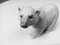 #1207 Polar Bear Figurine in Porcelain from Lladro, 1970s 10
