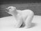 #1207 Polar Bear Figurine in Porcelain from Lladro, 1970s 1