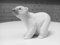 #1207 Polar Bear Figurine in Porcelain from Lladro, 1970s 2
