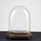 Hand-Blown Glass Display Dome, Late 1800s-Early 1900s 1