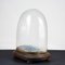 Hand-Blown Glass Display Dome, Late 1800s-Early 1900s 7