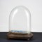 Hand-Blown Glass Display Dome, Late 1800s-Early 1900s 8