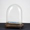 Hand-Blown Glass Display Dome, Late 1800s-Early 1900s, Image 8