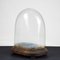 Hand-Blown Glass Display Dome, Late 1800s-Early 1900s, Image 4