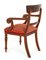 William IV Dining Chairs in Mahogany, 1920s, Set of 12 3