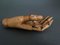 Early 20th Century Articulated Wooden Painters Hand 5