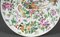 19th Century Canton Porcelain Plate with Butterflies and Birds 4