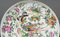 19th Century Canton Porcelain Plate with Butterflies and Birds 3