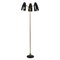 French Floor Lamp, 1950 1