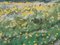 Alfejs Bromults, Dandelions Are Blooming, 1981, Oil on Cardboard 5