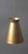 Lámpara colgante Diabalo dorada de Egon Hillebrand para Hillebrand Lighting, años 50, Imagen 10